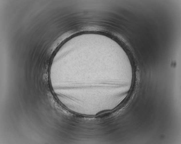 X0000114411025200911131423