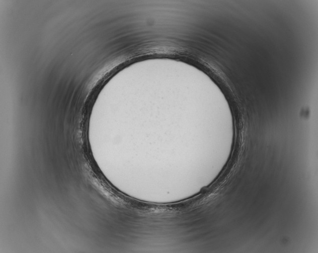 X0000114411026200911131423