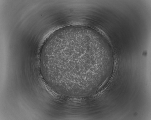 X0000114411027200911131423