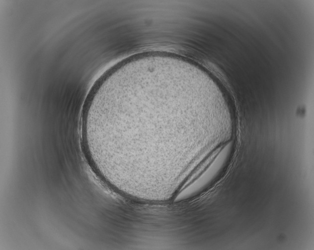 X0000114411028200911131423