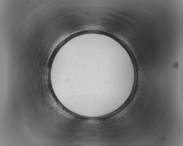 X0000114411029200911131423