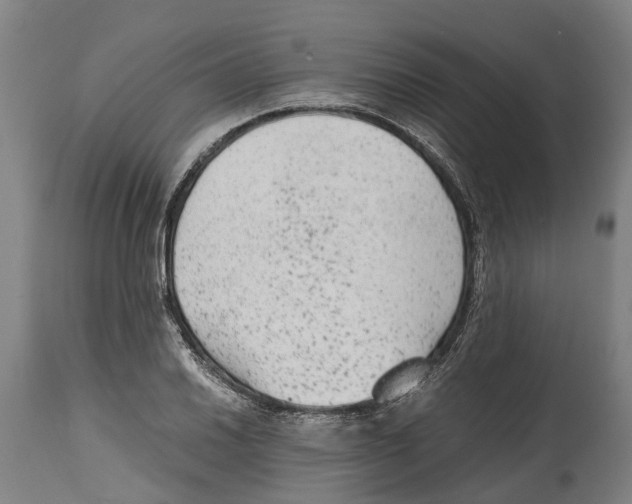 X0000114411030200911131423