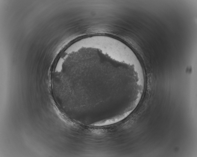 X0000114411031200911131423