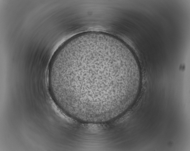 X0000114411032200911131423