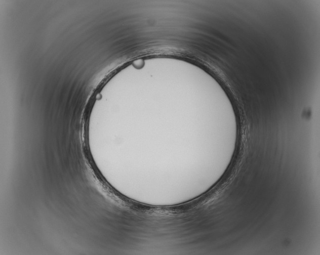 X0000114411034200911131423