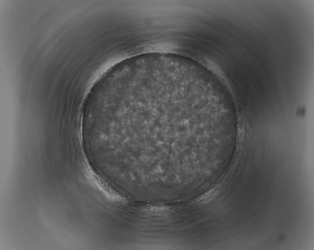 X0000114411035200911131423