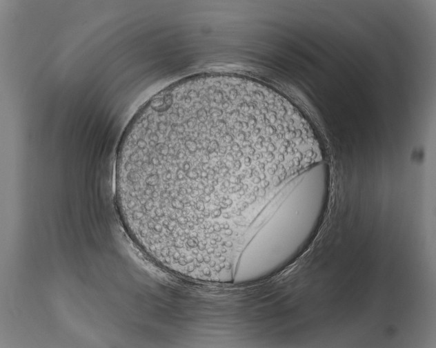 X0000114411036200911131423