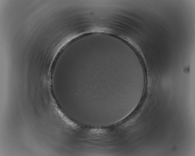 X0000114411037200911131423