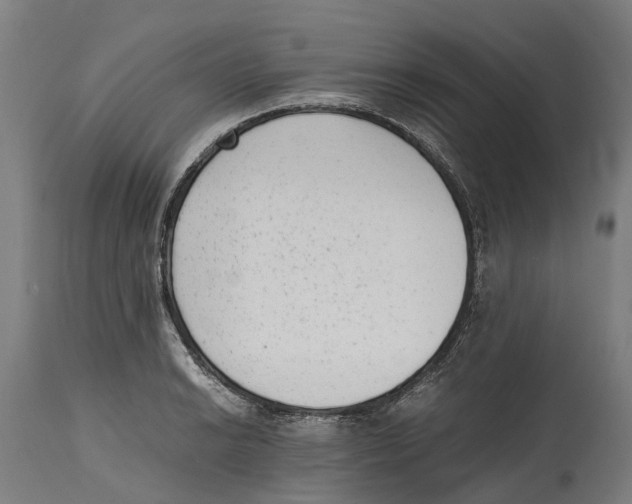 X0000114411038200911131423