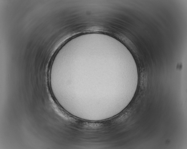 X0000114411039200911131423