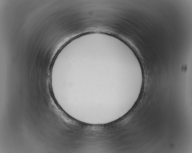 X0000114411040200911131424