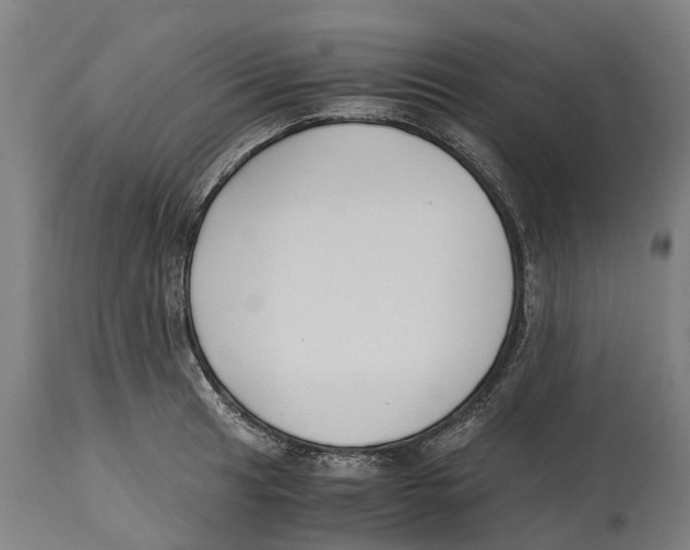 X0000114411041200911131424