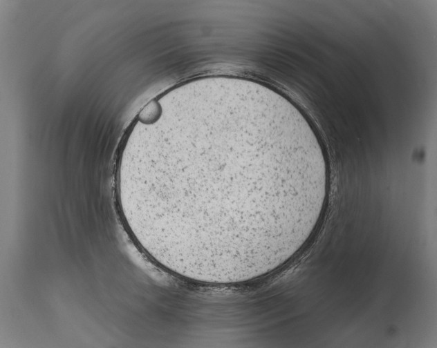 X0000114411042200911131424