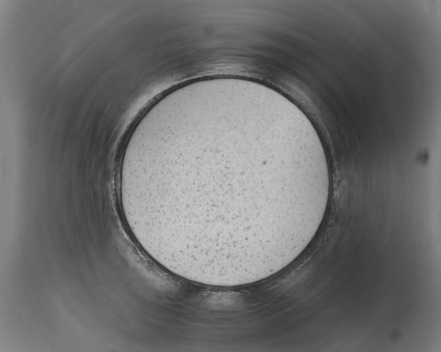 X0000114411043200911131424