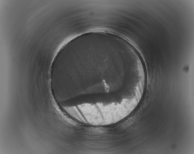 X0000114411045200911131424