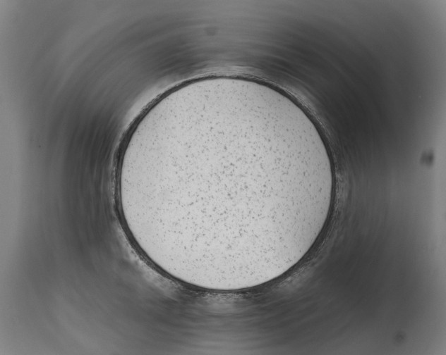 X0000114411046200911131424