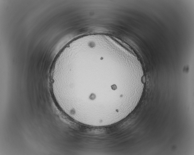 X0000114411047200911131424