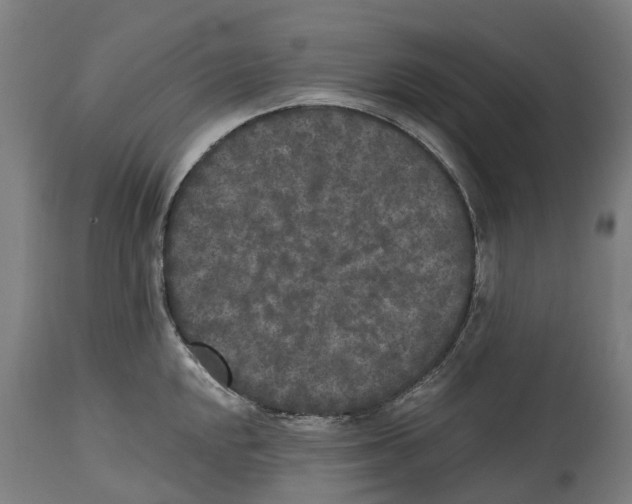 X0000114411048200911131424