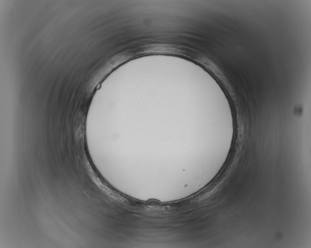 X0000114411049200911131424