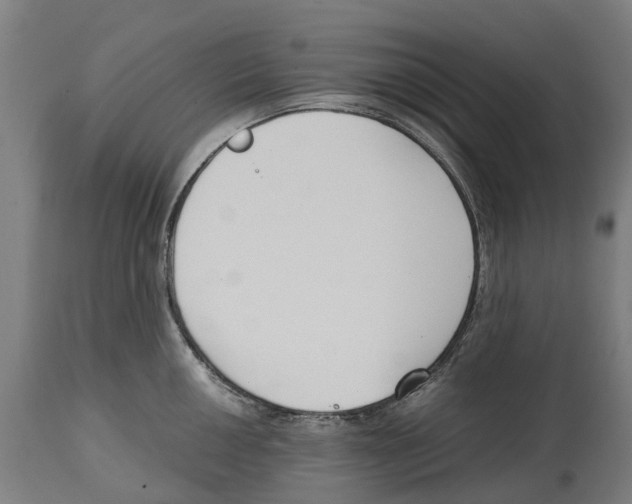 X0000114411050200911131424