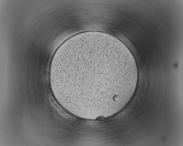 X0000114411052200911131424