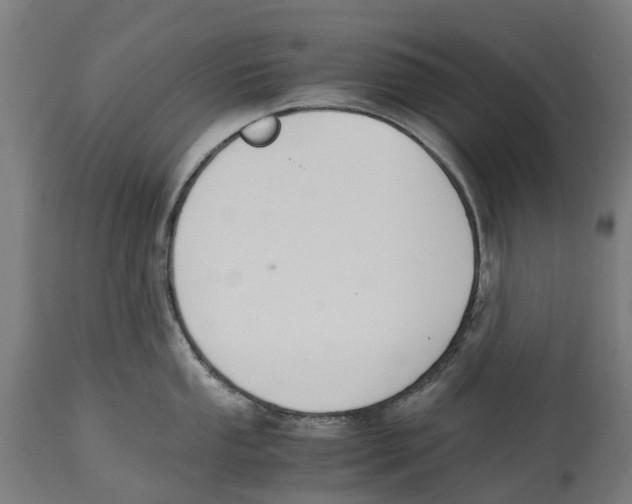 X0000114411053200911131424