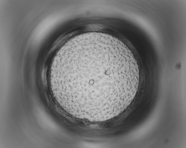 X0000114411054200911131424