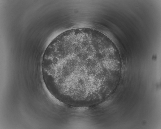 X0000114411055200911131424