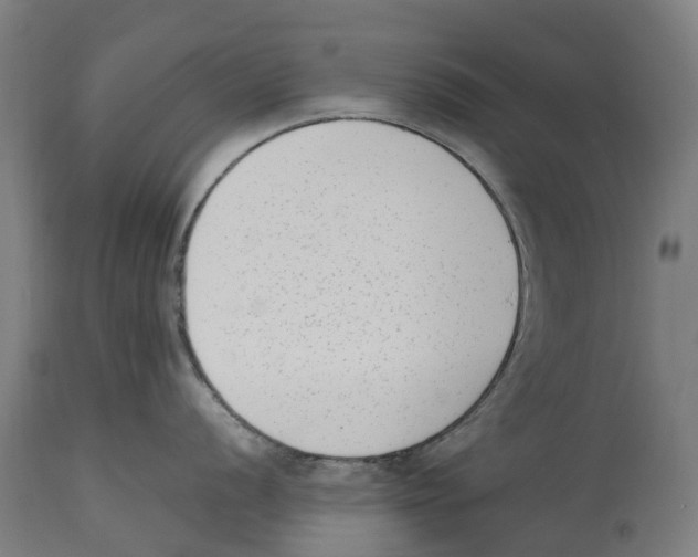 X0000114411056200911131424