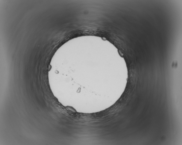 X0000114411057200911131423