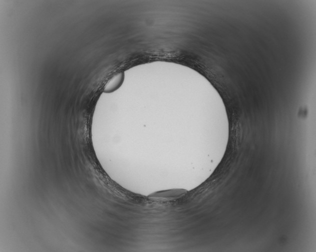 X0000114411058200911131423