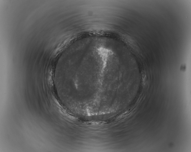 X0000114411060200911131423