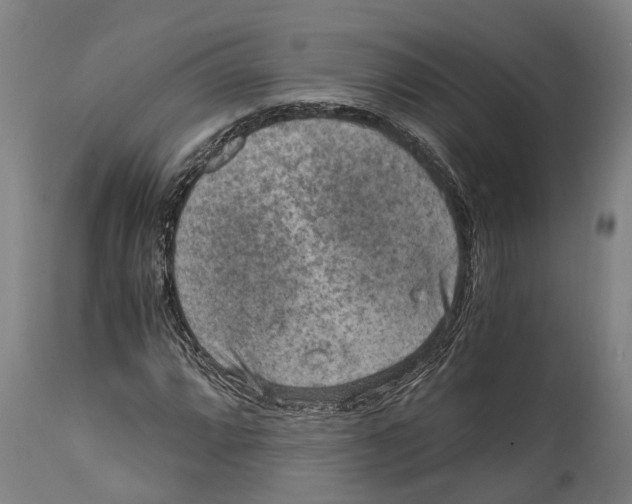 X0000114411064200911131423