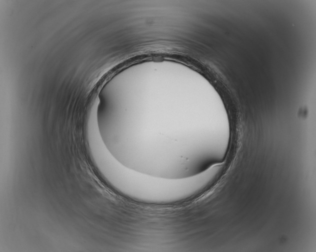 X0000114411065200911131423