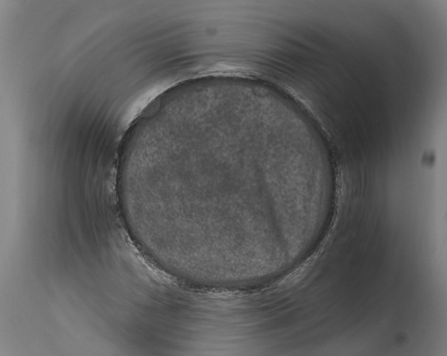 X0000114411066200911131423