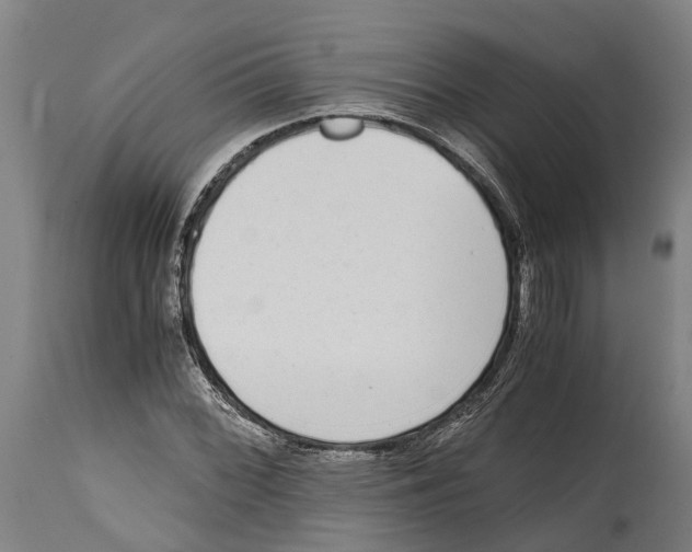 X0000114411068200911131423