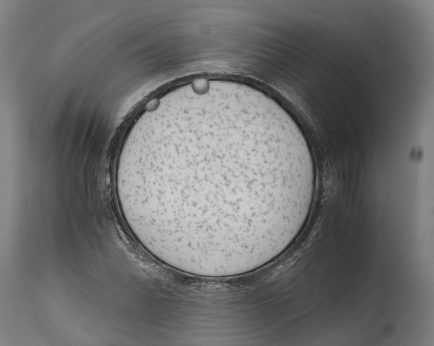 X0000114411070200911131423