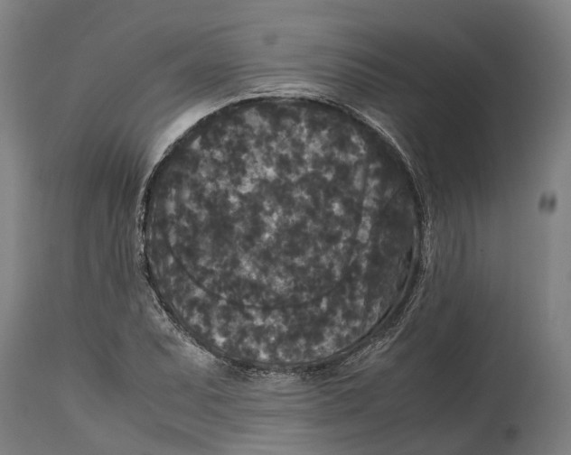 X0000114411071200911131423