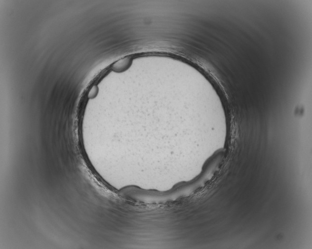 X0000114411072200911131423