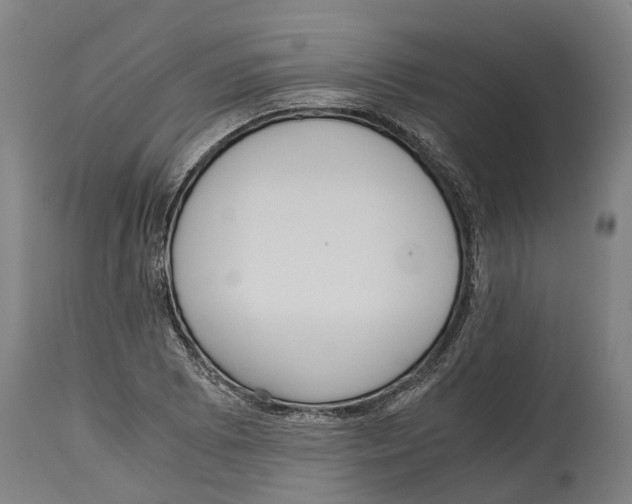 X0000114411073200911131423