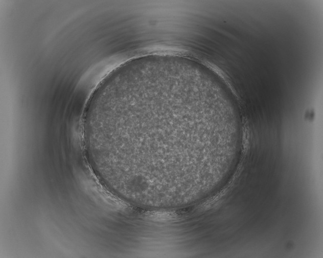 X0000114411074200911131423