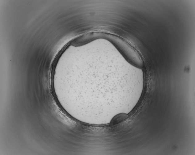 X0000114411076200911131423