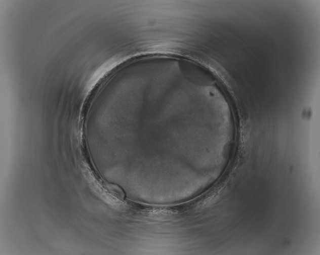 X0000114411077200911131423