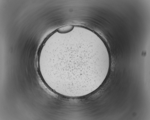 X0000114411080200911131423