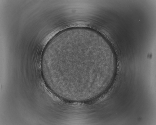 X0000114411081200911131423