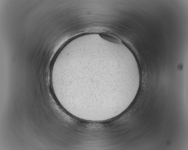 X0000114411083200911131423