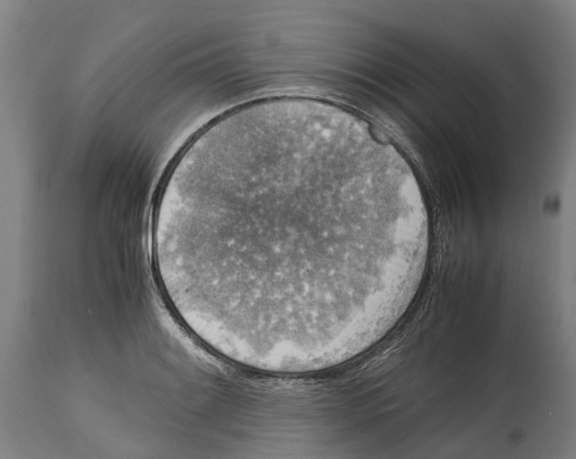 X0000114411084200911131423