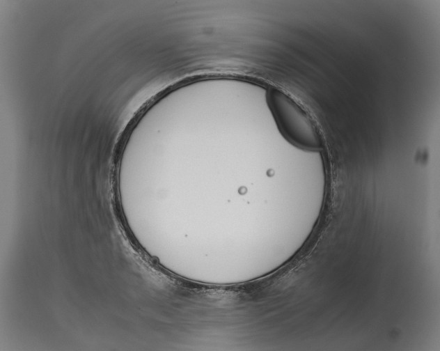 X0000114411085200911131423