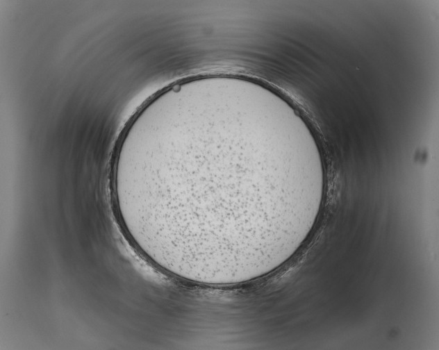 X0000114411086200911131423