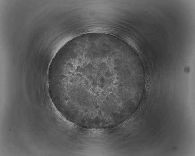 X0000114411087200911131422